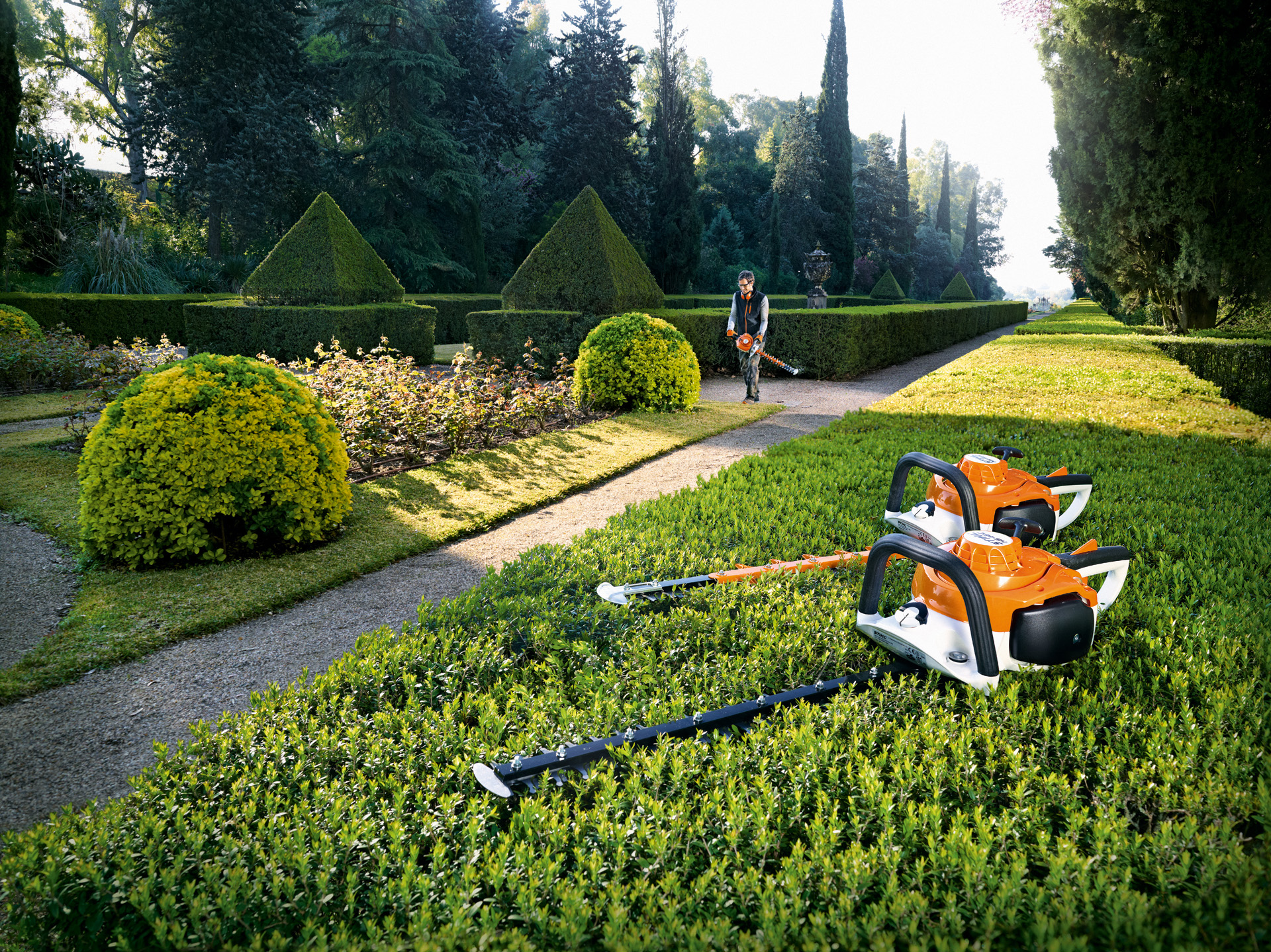 Hedge trimmer on sale stihl petrol